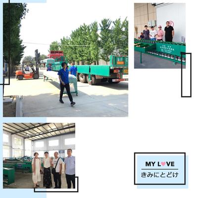 蘋果梨蜜桃選果機(jī)